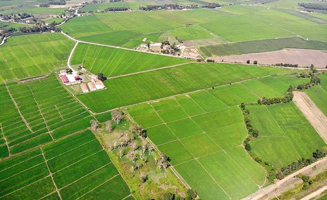 Araziniz icradan satışa çıkarılmış olabilir: Hemen kontrol edin 3